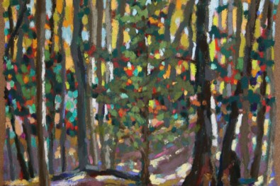 Pinetree in the Forest